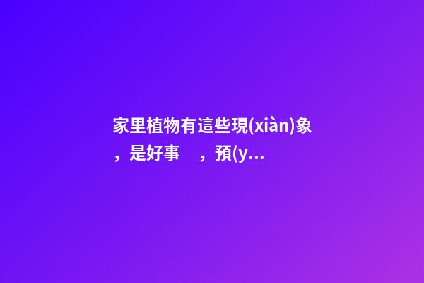 家里植物有這些現(xiàn)象，是好事，預(yù)示你家要發(fā)大財(cái)了！